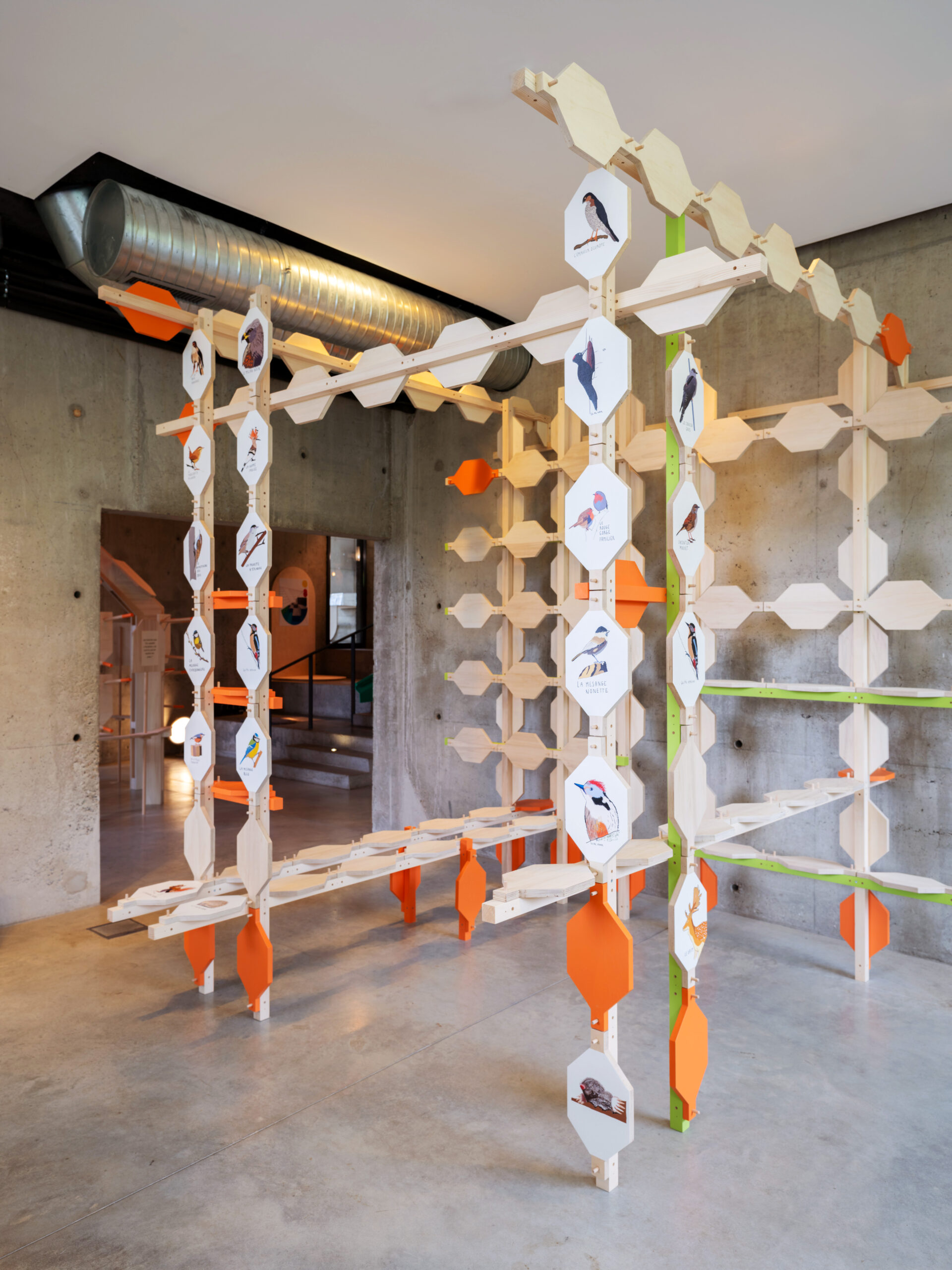 La qualité de nos attachements, structure de sensibilisation au milieu, 2025 Installation avec bois de bouleau, hêtre, dessins, peintures, dimensions variables Réalisée avec l'entreprise SOCLE © matali crasset